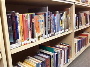 Bookshelves 